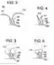 Fig. 03 - STENT - GRAFT SUTURE LOCKS