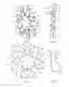 Fig. 06 - Methods for deploying a prosthesis