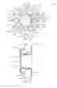 Fig. 24 - Methods for deploying a prosthesis