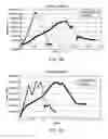 Fig. 06 - MODULUS-MATCHING GRAFT
