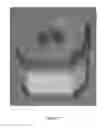 Fig. 12 - Composite implant