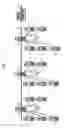 Fig. 03 - Control system for controlling safety-critical processes