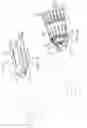 Fig. 05 - Actuator and electronics packaging for extrinsic humanoid hand