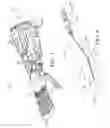Fig. 03 - Tendon driven finger actuation system