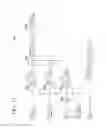 Fig. 13 - Control device of inverted pendulum type vehicle