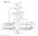 Fig. 19 - Control device of inverted pendulum type vehicle