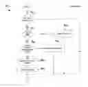 Fig. 06 - Good checking for vehicle brake light switch