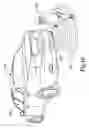 Fig. 12 - Holistic cybernetic vehicle control