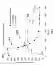 Fig. 16 - Biological cell sorting and characterization using aerosol mass spectrometry