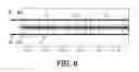 Fig. 07 - Method and system for determining a threshold for spike detection of electrophysiological signals