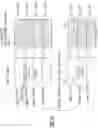 Fig. 16 - Host cell spatially aware emulation of a guest wild branch