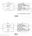 Fig. 13 - Just in time compiler in spatially aware emulation of a guest computer instruction set