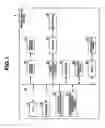 Fig. 02 - Image display device for identifying keywords from a voice of a viewer and displaying image and keyword