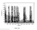 Fig. 08 - System and methods for recognizing sound and music signals in high noise and distortion