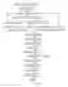 Fig. 81 - Online nationalized & localized ads (text, image and video) self-creation solutions; online nationalized and localized store set up and shop solutions; and online shop together and network solutions
