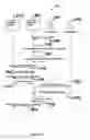 Fig. 11 - TRACKING OF PEER CONTENT DISTRIBUTION