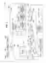 Fig. 02 - Methods and apparatus for visually assisted fast food order preparation