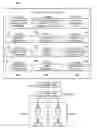 Fig. 01 - Deriving a hierarchical event based database having action triggers based on inferred probabilities