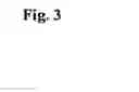 Fig. 05 - Method for mass-deleting data records of a database system
