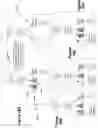 Fig. 20 - File handling for naming conflicts