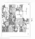 Fig. 11 - Space efficient visualization of pedigree data