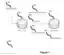 Fig. 08 - INTELLIGENT MEDIA CAPTURE, ORGANIZATION, SEARCH AND WORKFLOW