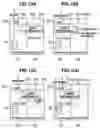 Fig. 13 - Load equalizing storage controller and control method for the same