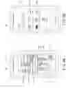 Fig. 09 - COMMUNICATION APPARATUS