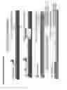 Fig. 05 - Systems and methods for implementing multi-application tabs and tab sets