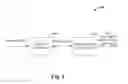 Fig. 02 - Embedding expressions in XML literals