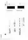 Fig. 04 - COMPOSITIONS AND METHODS FOR THE TREATMENT OF PSYCHIATRIC AND NEUROLOGICAL DISORDERS