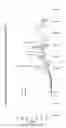 Fig. 13 - PROCESS FOR PRODUCING EXOGENOUS PROTEIN IN THE MILK OF TRANSGENIC MAMMALS AND A PROCESS FOR PURIFYING PROTEINS THEREFROM