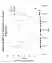 Fig. 15 - PROCESS FOR PRODUCING EXOGENOUS PROTEIN IN THE MILK OF TRANSGENIC MAMMALS AND A PROCESS FOR PURIFYING PROTEINS THEREFROM