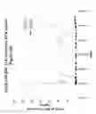 Fig. 16 - PROCESS FOR PRODUCING EXOGENOUS PROTEIN IN THE MILK OF TRANSGENIC MAMMALS AND A PROCESS FOR PURIFYING PROTEINS THEREFROM