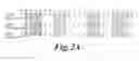 Fig. 03 - I-CREI MEGANUCLEASE VARIANTS WITH MODIFIED SPECIFICITY, METHOD OF PREPARATION AND USES THEREOF