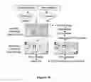 Fig. 07 - I-CREI MEGANUCLEASE VARIANTS WITH MODIFIED SPECIFICITY, METHOD OF PREPARATION AND USES THEREOF