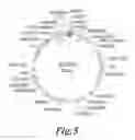 Fig. 10 - I-CREI MEGANUCLEASE VARIANTS WITH MODIFIED SPECIFICITY, METHOD OF PREPARATION AND USES THEREOF