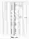 Fig. 12 - I-CREI MEGANUCLEASE VARIANTS WITH MODIFIED SPECIFICITY, METHOD OF PREPARATION AND USES THEREOF