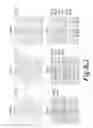 Fig. 49 - I-CREI MEGANUCLEASE VARIANTS WITH MODIFIED SPECIFICITY, METHOD OF PREPARATION AND USES THEREOF