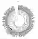 Fig. 03 - Compositions and methods for modulating pigment production in plants