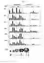 Fig. 04 - Compositions and methods for modulating pigment production in plants