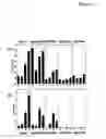 Fig. 06 - Compositions and methods for modulating pigment production in plants
