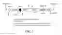 Fig. 02 - MARKER FREE TRANSGENIC PLANTS ENGINEERING THE CHLOROPLAST GENOME WITHOUT THE USE OF ANTIBIOTIC SELECTION
