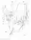 Fig. 01 - Protective Headwear