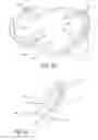 Fig. 08 - Protective Headwear