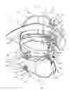 Fig. 01 - Protective helmet