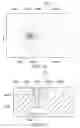 Fig. 14 - Sanitary washing apparatus
