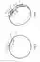 Fig. 05 - Elastomeric releasable cable tie