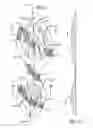 Fig. 07 - SUPPORT STRUCTURES IN FOOTWEAR