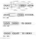 Fig. 09 - METHOD AND APPARATUS FOR SEALING CONTAINERS